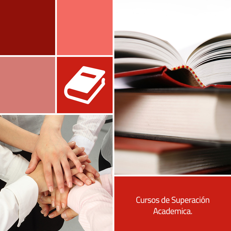 Cursos de Superación Academica